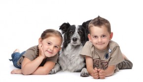 safety tips for dogs and children