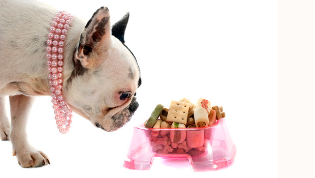 Mixing-your-pets-food